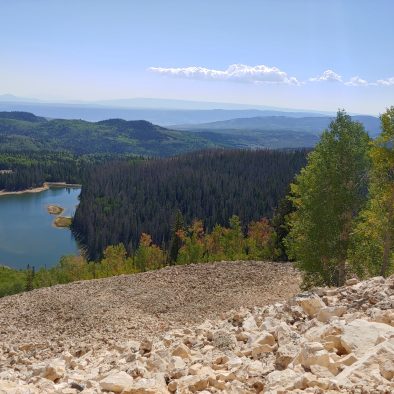 Meadow view